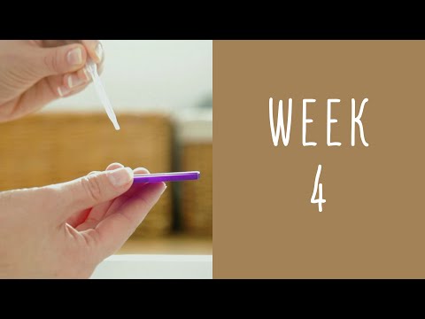 4 Weeks Pregnant - Pregnancy Week by Week