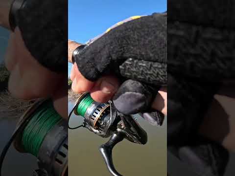 Pesca de Bagres y Bogas en el canal de los puestos, Tucumán #pesca #fishing #rio #argentina #fish