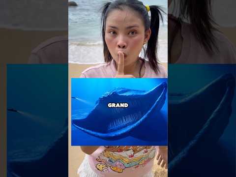 MY DRONE CAPTURED EL GRAN MAJA in real life  #shorts