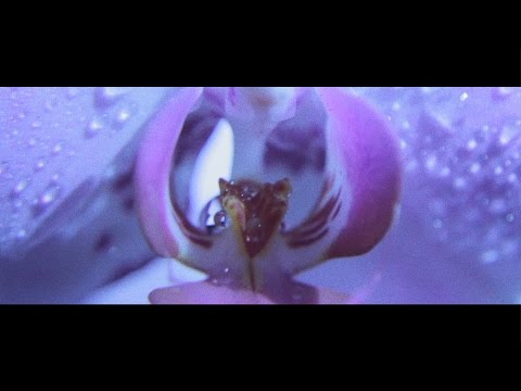 Video thumbnail for Buried