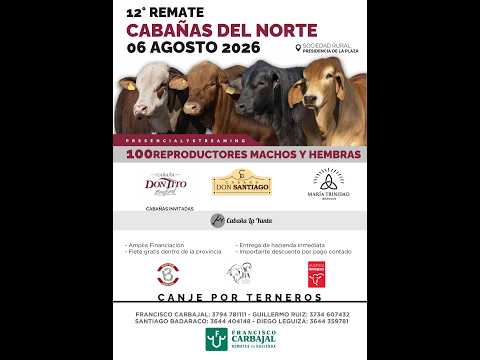 12° REMATE CABAÑAS DEL NORTE , SOC. RURAL PRESIDENCIA DE LA PLAZA - CHACO