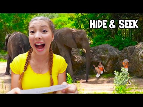 EXTREME HIDE AND SEEK IN DISNEY WORLD! (Part 2) | Triple Charm