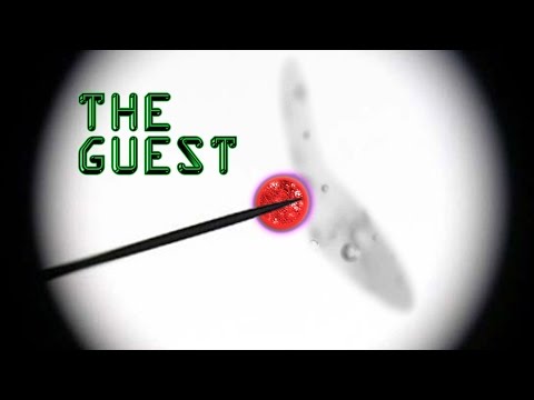 THE GUEST - Sci-Fi Short Film