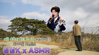 세종 송학리 몸티 향나무🌲 바라보며 듣는 #마이진 노래 🎤 / KBS 대전