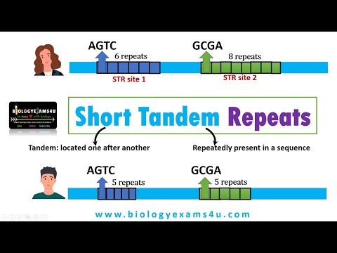 What are Tandem Repeats in DNA? Short Tandem Repeats (STR) and its applications