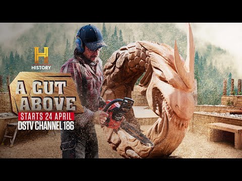 Chainsaw carving competition series - A Cut Above