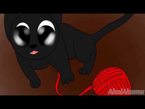 Cartoon Cat Animation Story Tale