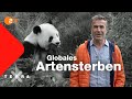 Artenschutz – Faszination Erde | Dirk Steffens | Ganze Folge Terra X