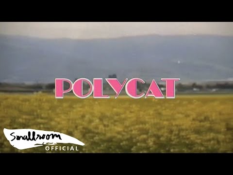 POLYCAT - Chapter 2 เวลาเธอยิ้ม | you had me at hello [Official MV]