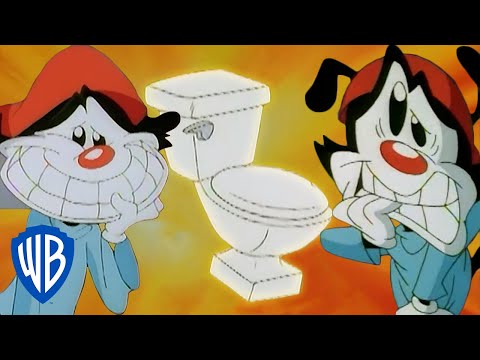 Animaniacs | Wakko Has to Go Potty | Classic Cartoon | WB Kids