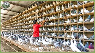 Inside China’s Massive Animal Farming – How Farmers Make Billions Each Year MQDEFAULT Thumbnail