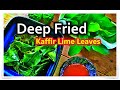 Deep Fried Kaffir Lime Leaves | Kaffir Lime Leaves Chips ใบมะกรูดทอดกรอบ