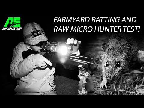 Airgun Extra | How to shoot more rats at night | RAW HM 1000 Micro Hunter review