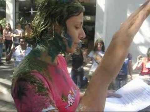 Bixos Pedagogia Ufrgs 2008/1 [2]