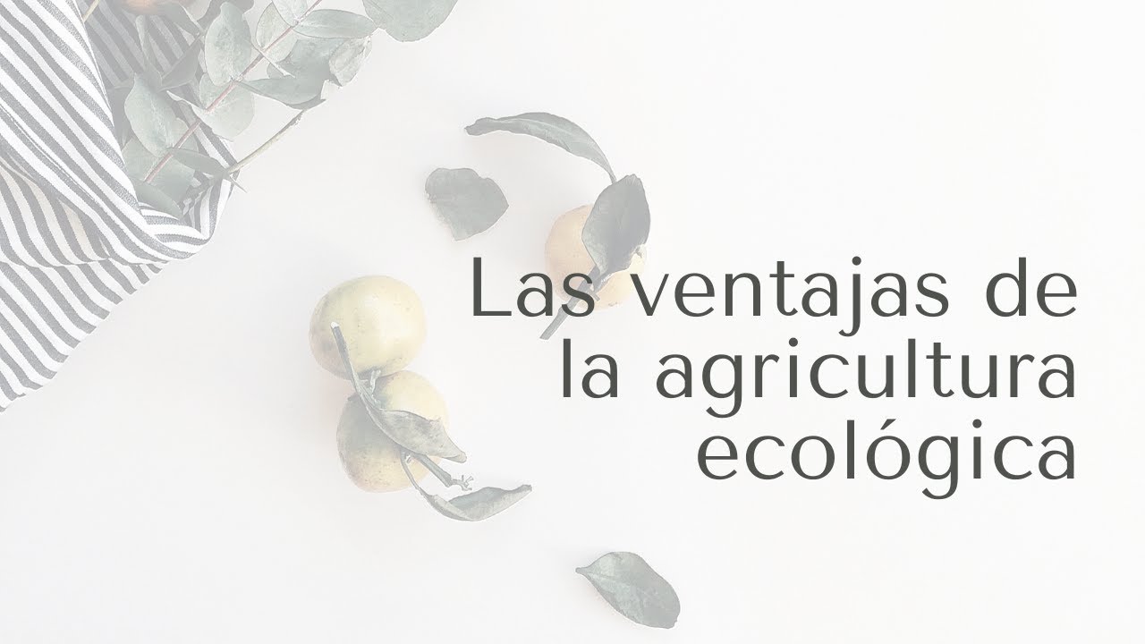 Las ventajas de la agricultura ecológica | CULTIVA ECO-lógico