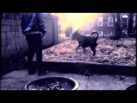 Dirty Tactics - Directions to Die - Music Video