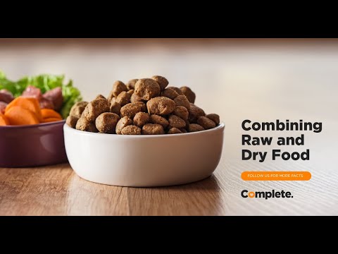 The Benefits of Mixing Raw & Dry Dog Food