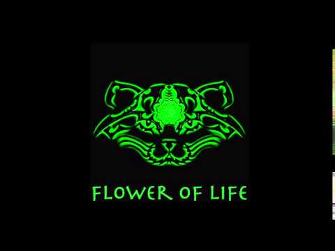 Spiritcat- Flower of Life