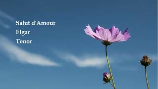 Download lagu Salut d'amour, 愛の挨拶, Elgar, Tenor, Cl- Pf, 4v mp3