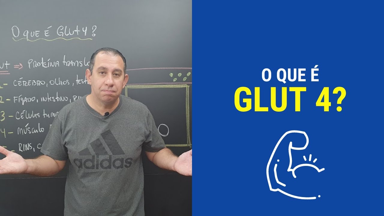 O que é GLUT 4? (Proteína Transportadora de Glicose)