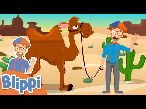 Blippi's Camel Song! | Kids Songs & Nursery Rhymes | Educational Videos for Toddlers