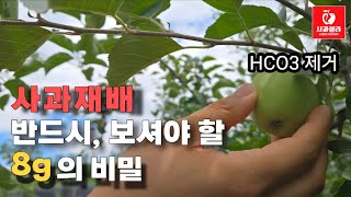 [사과재배] 1시간만에 살포한 약효가 사라진다 / CHO3를 제거하라/ 8g의 비밀