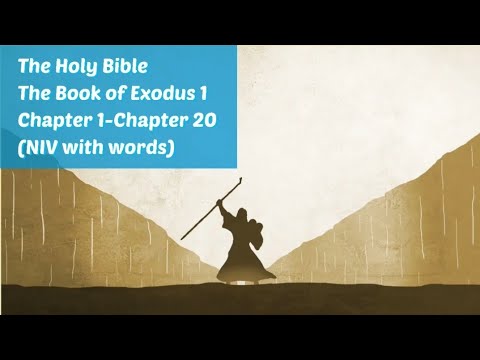 EXODUS 1-20 : NIV Audio Bible(with text)