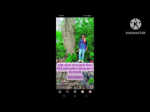 8 अगस्त 2025