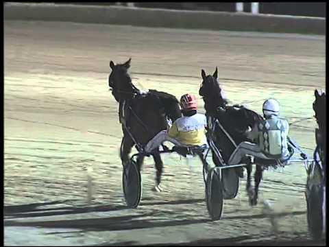 Trotto 30/11/2014 - 8° corsa