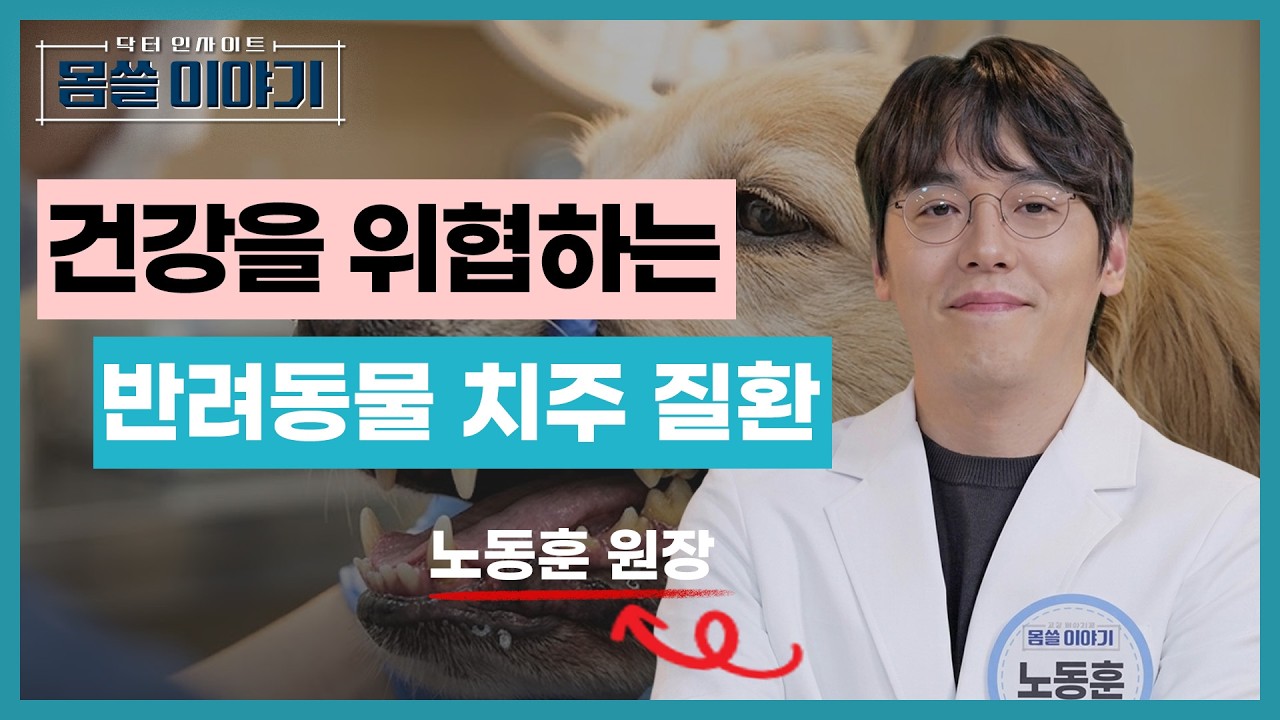 반려견 입냄새 심하면 이미 늦었습니다 치주질환 경고 [몸쓸이야기 16회]
