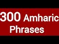 300 Amharic Phrases For Beginners/ Easy Amharic Lesson/Learn Amharic/Ethiopian Language/አማርኛ-እንግሊዝኛ