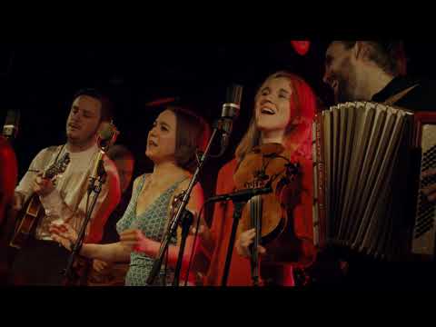 Hayde Bluegrass Orchestra - Señor (Tales of Yankee Power) (Bob Dylan cover) | Live at John Dee