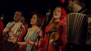 Hayde Bluegrass Orchestra - Señor (Tales of Yankee Power) (Bob Dylan cover) | Live at John Dee