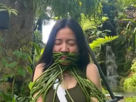 The Garden of mutant ( vines plant wrapped and squeeze )