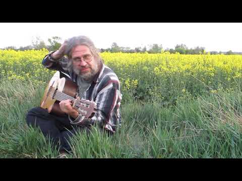 Nocnoautobusowa w rzepaku