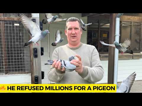 He Refused Millions: The Untold Story of Rik Hermans’ Golden Rule