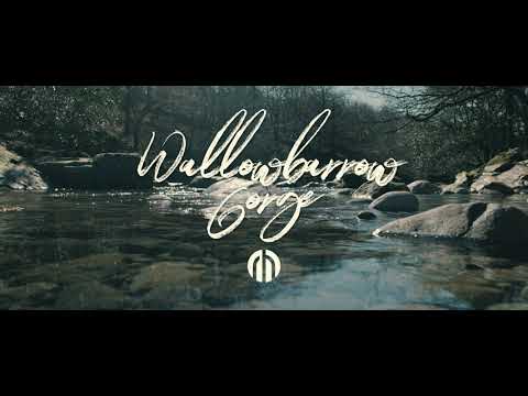 Wallowbarrow Gorge | Fujifilm X-T4 | Cinematic | F-log | 4k | XF16-55mm