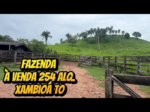 Fazenda a venda no Tocantins em Xambioa TO terra de alta fertilidade 