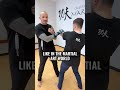 Learn Fight IQ As A Guide For Self Defense