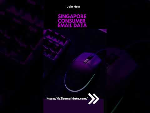 Singapore Consumer Email Data | B2C Email List