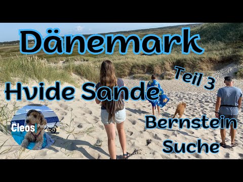 Dänemark Teil 3 Hvide  Sande und Bernsteinsuche