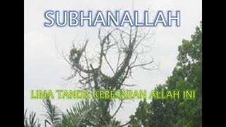 Download lagu Tanda-Tanda Kebesaran Allah mp3 Download lagu Tanda-Tanda Kebesaran Allah mp3