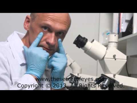 The Secret of Eyes - #1 Eyesight Improvement Program