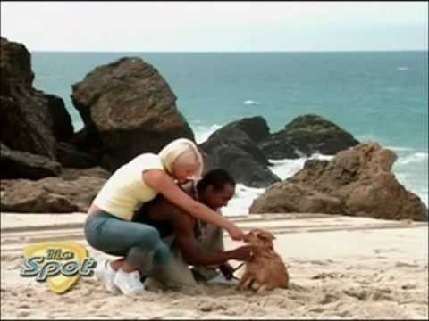 Jo & Bradley - S Club 7 - I Will Find You