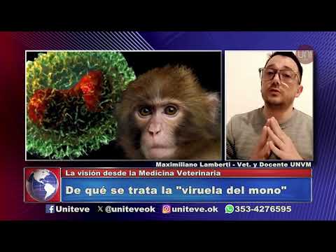 De qué se trata la viruela del mono
