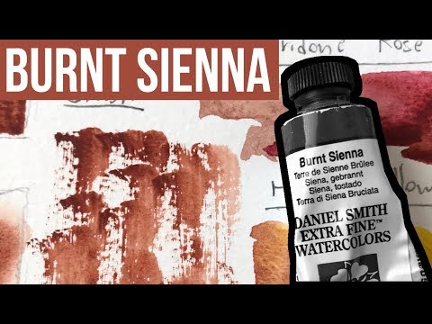 Burnt Sienna - Daniel Smith Watercolors | The Paint Show 30