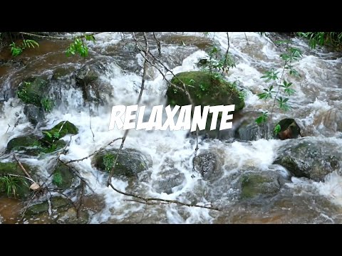 ??? Sinta a Paz com os ?Sons da Natureza ???