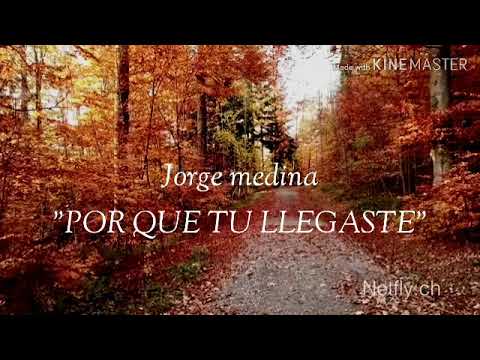 Por Que Tu Llegaste video