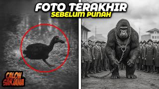 Download lagu NYESEK BANGET: Inilah Bukti Foto Terakhir dari Hewan Legendaris Sebelum Lenyap dari Bumi! mp3