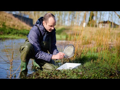 Die Emscher - ein weltweites Vorbild